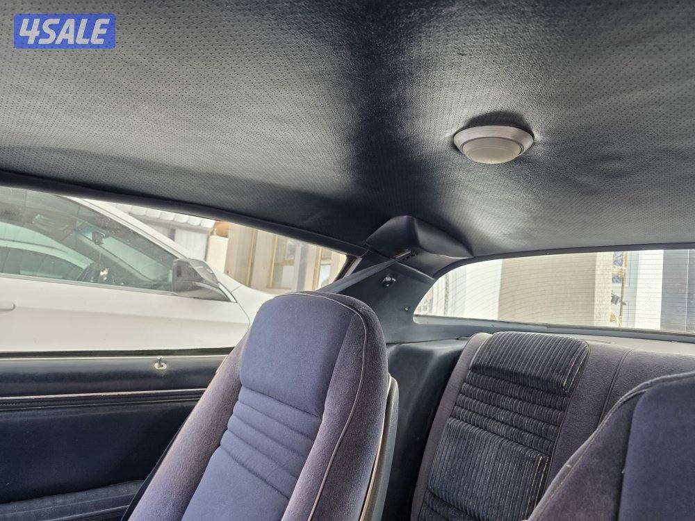 للبيع ترانز ام موديل 1981 كندي بحالة الوكاله، نظيف جدا.7