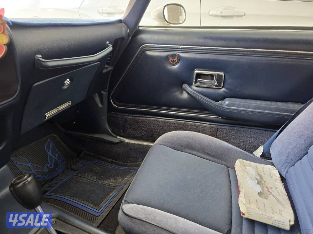 للبيع ترانز ام موديل 1981 كندي بحالة الوكاله، نظيف جدا.8