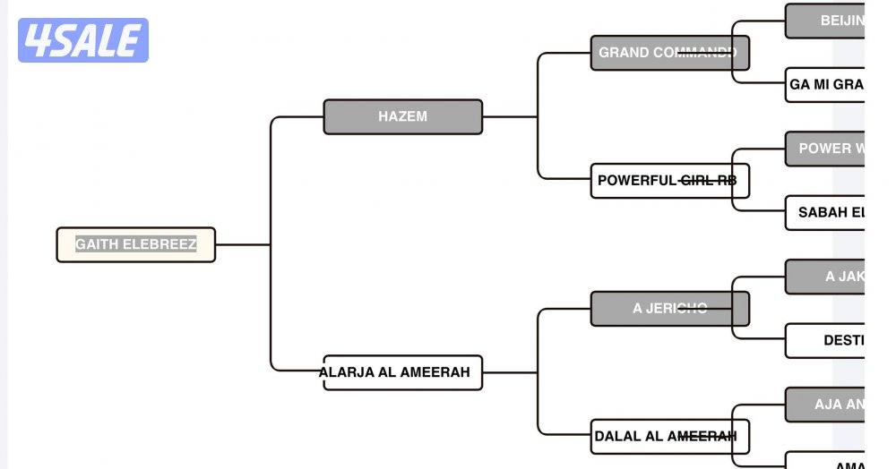 مهر مميز للبيع6