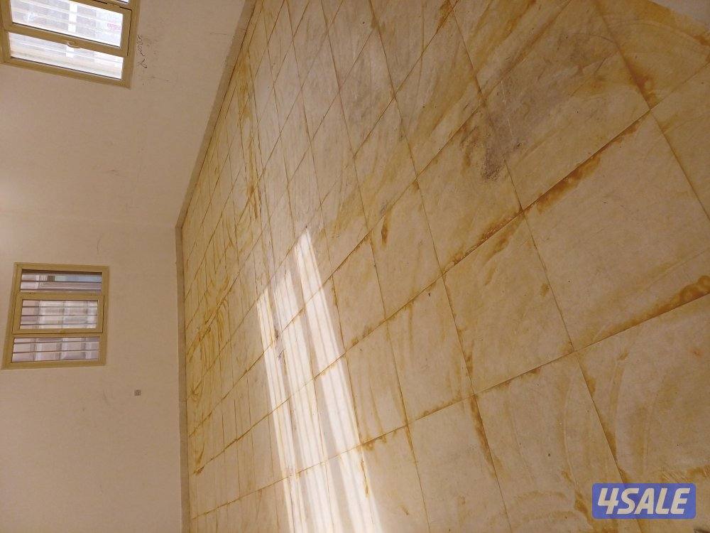 غسيل بالشامبو - تنظيف ناشف - غسيل سجاد برادي - اثاث - كنفات - شقق - فل9