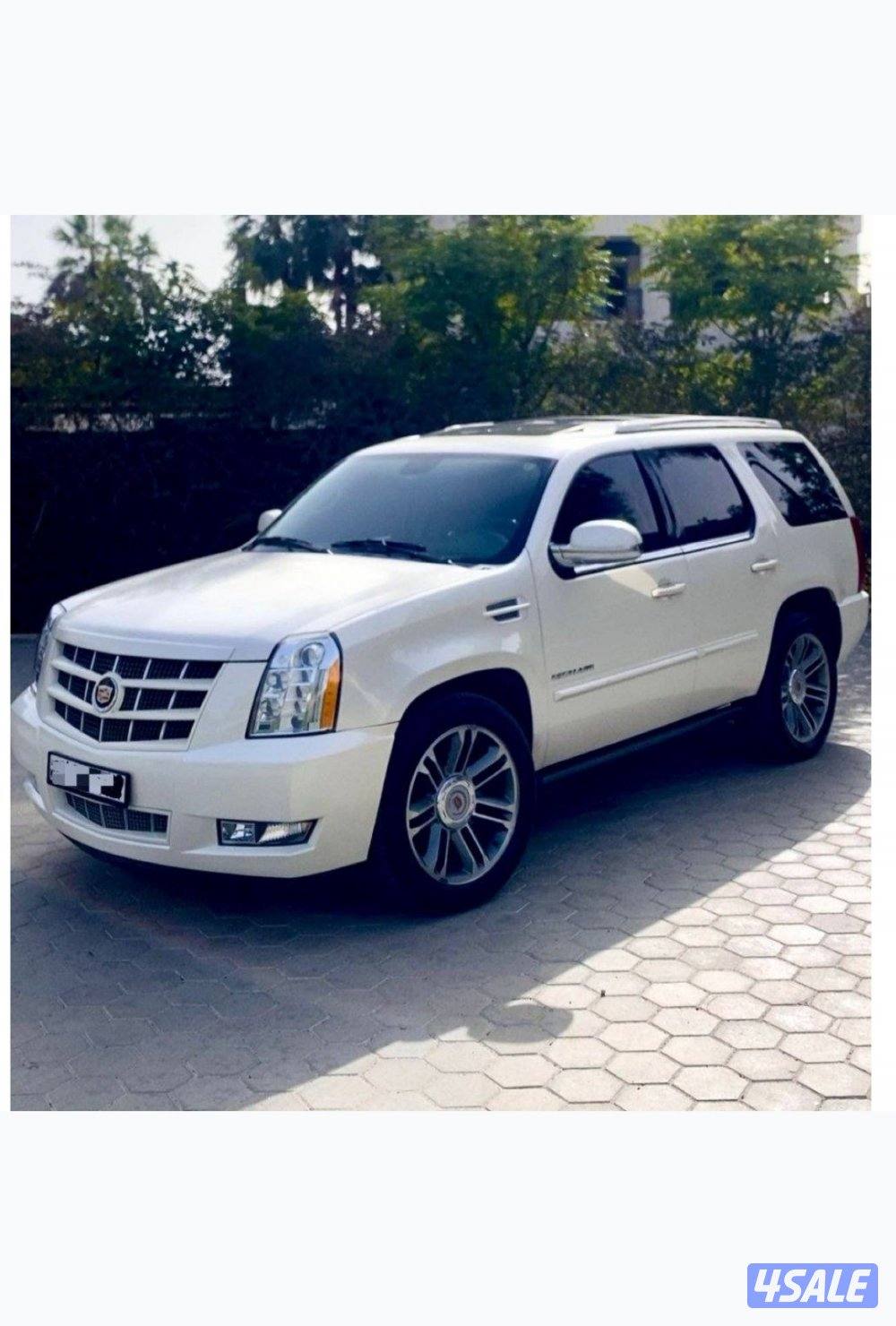 اسكاليد2014 LIBERTY0