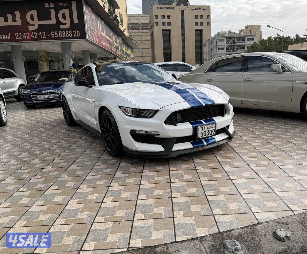 فورد موستنق GT350 شلبي 2017 عداد الفين كيلو قير عادي صبغ الوكالة0