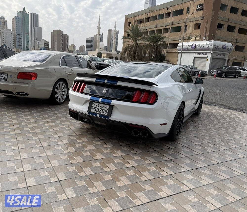 فورد موستنق GT350 شلبي 2017 عداد الفين كيلو قير عادي صبغ الوكالة3