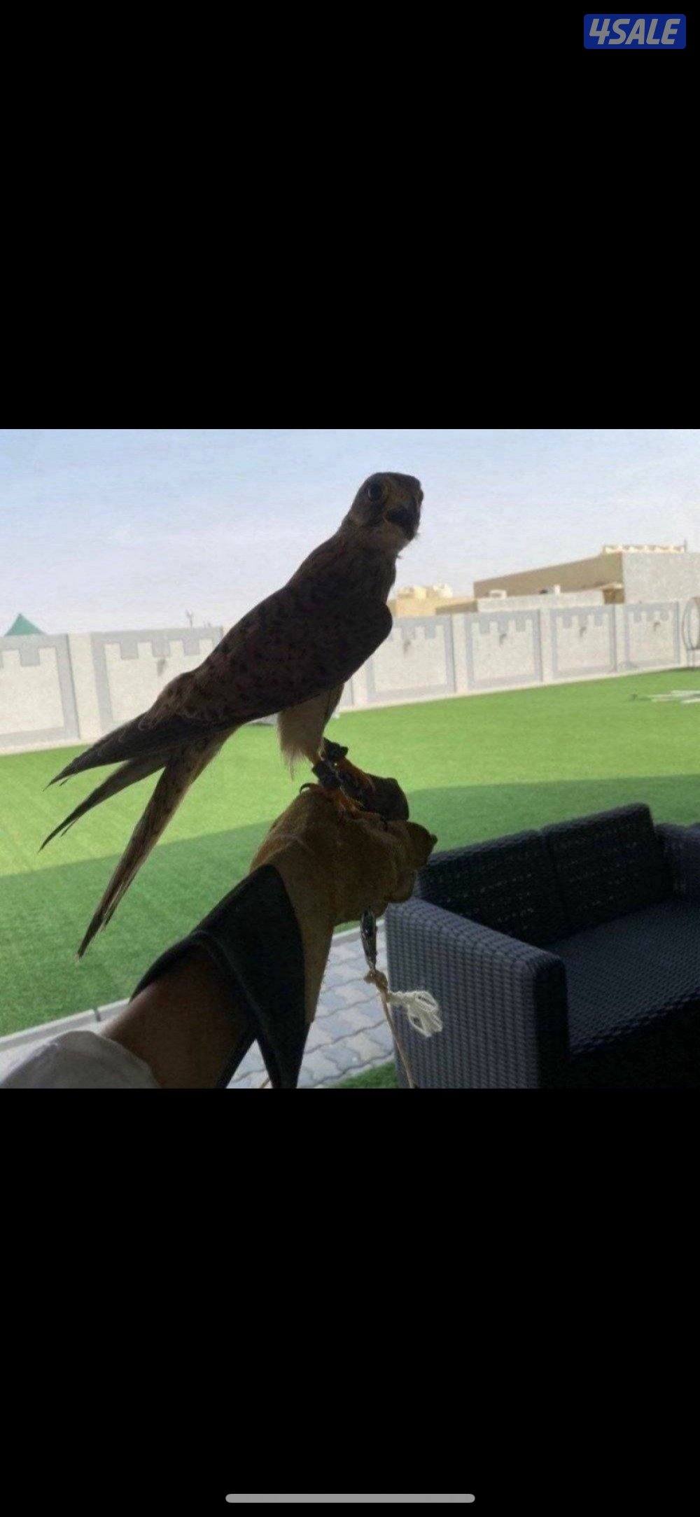 للبيع حميميجت وترمه6