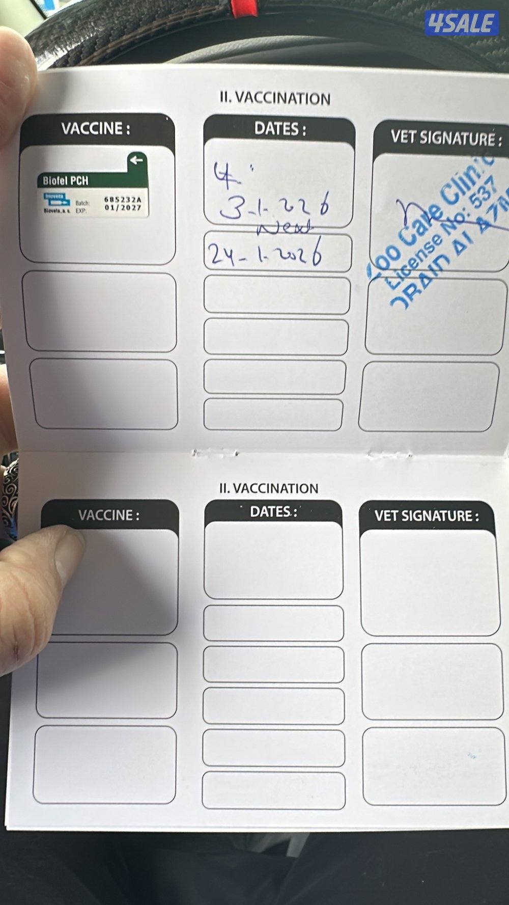 سكوتش فولد3