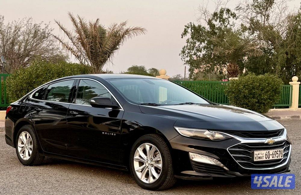 Malibu LS turbo orignal paint 20221