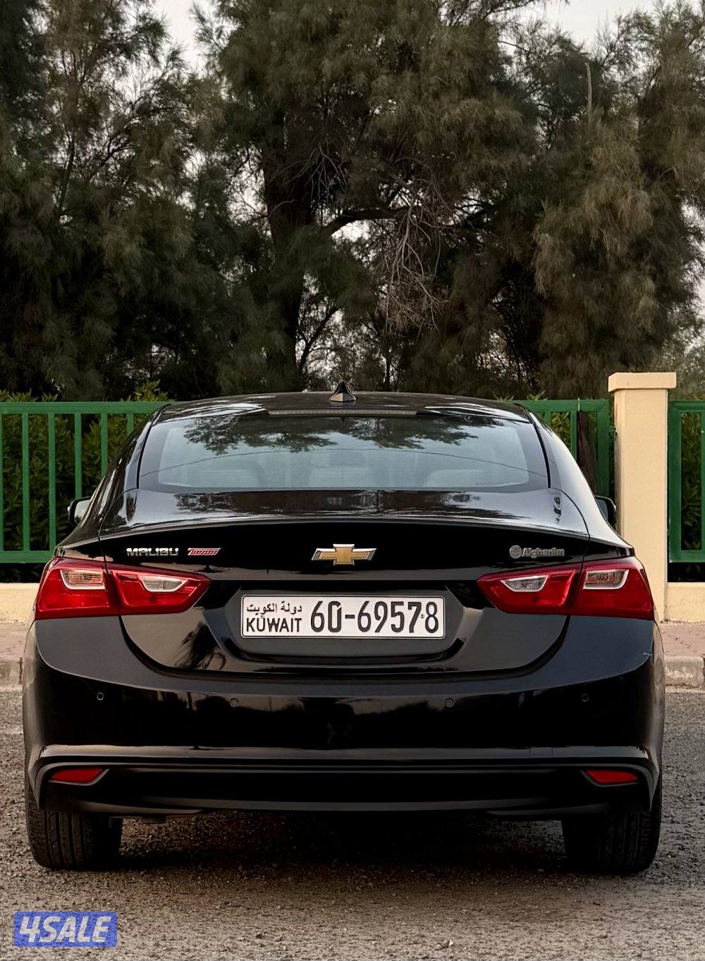 Malibu LS turbo orignal paint 20225