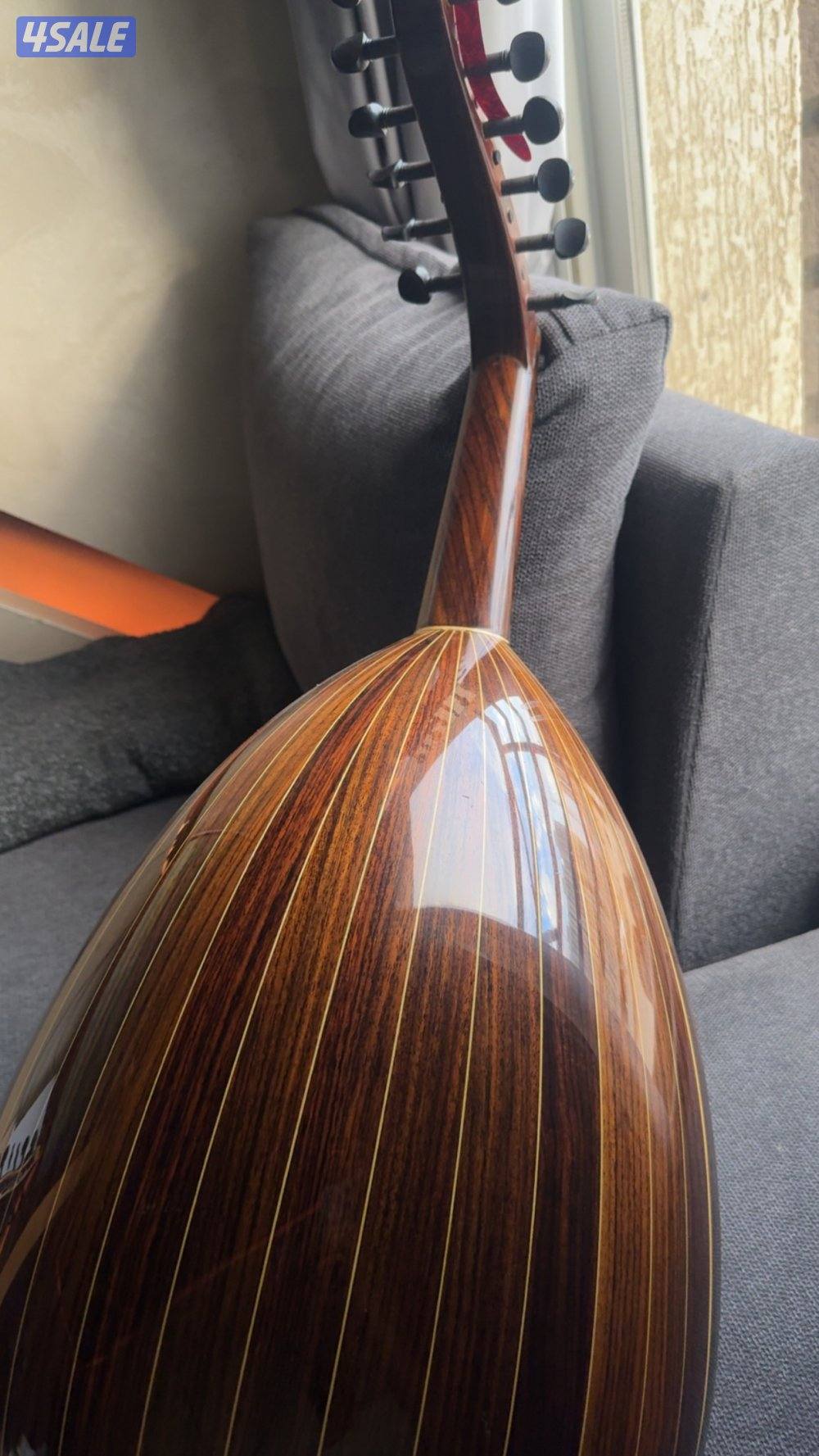 حافظ سليمان 20170