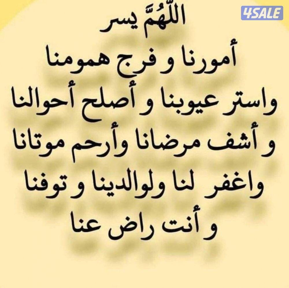 مدرس أول  لغة عربية (تأسيس /ابتدائي/متوسط/ثانوي)ومحفظ قرآن0