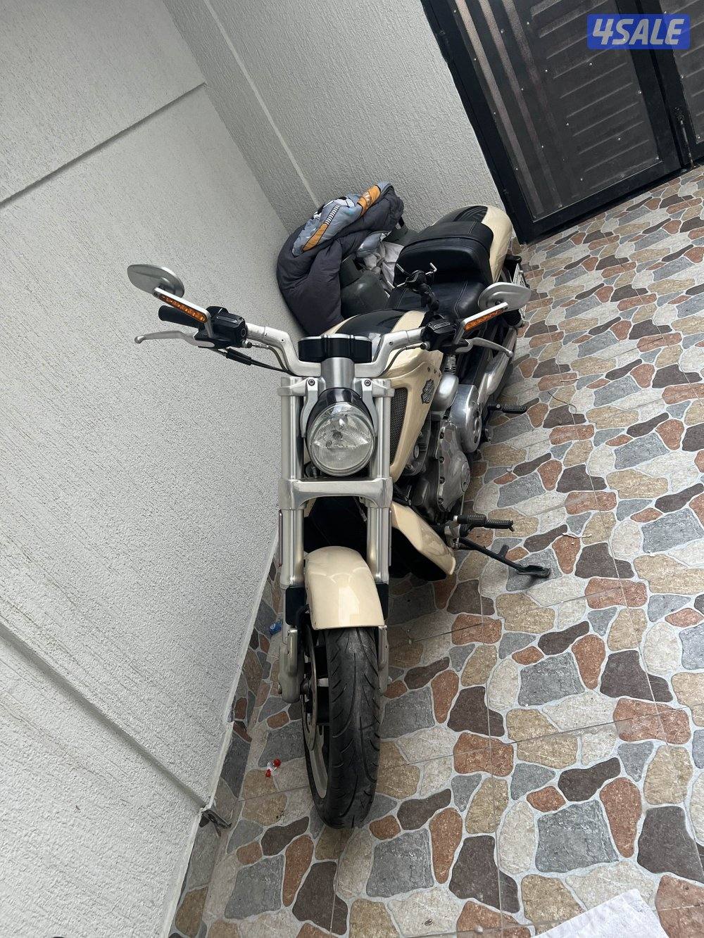 Harley v-rod muscle 2015/19000 km2