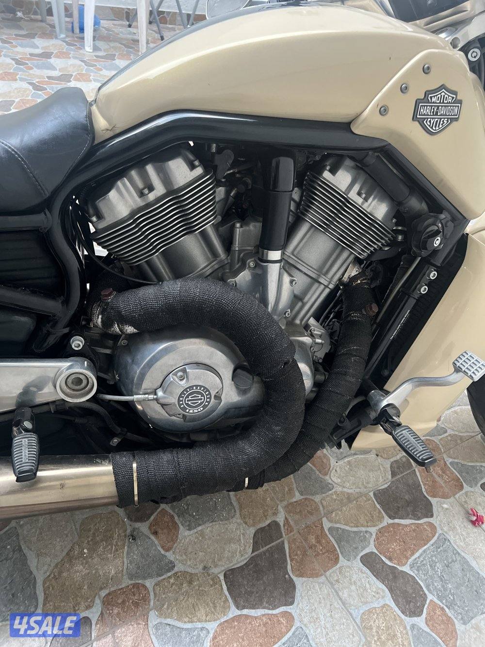 Harley v-rod muscle 2015/19000 km4