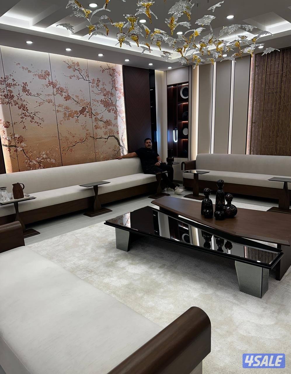 هشام أبو علي لجميع انواع الاصباغ والديكورات2