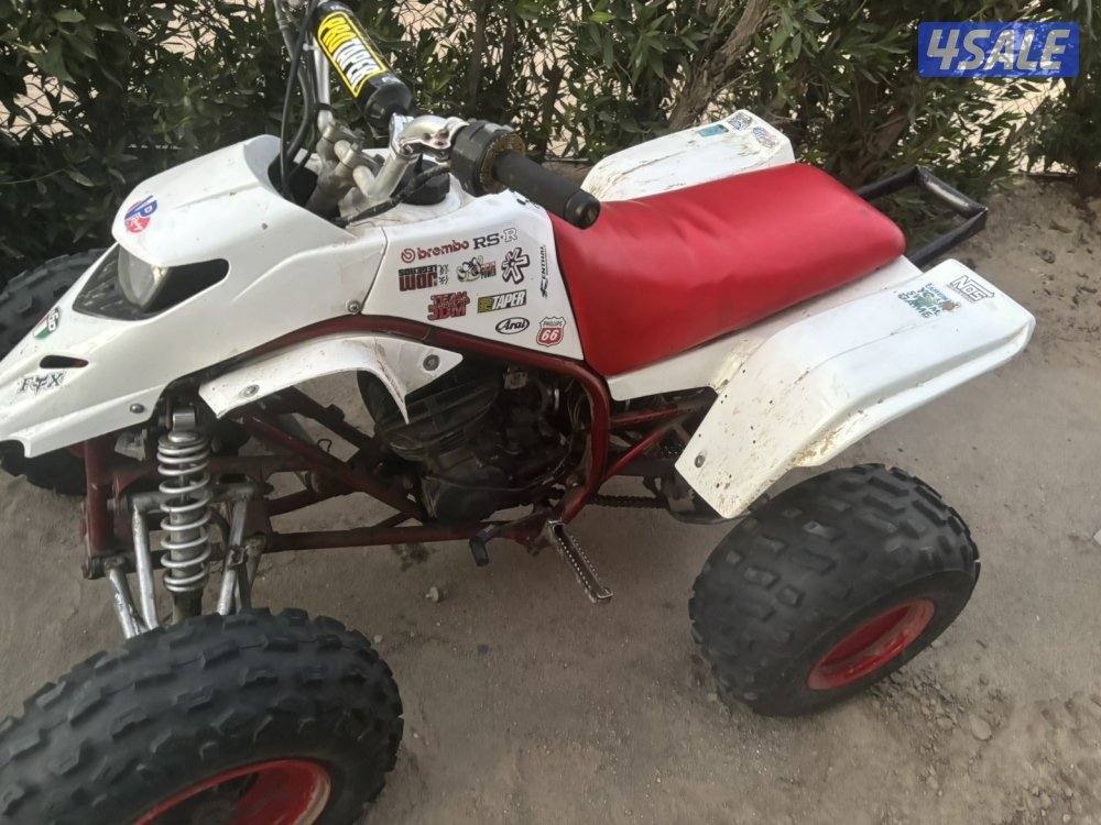 بلاستر 250—20054