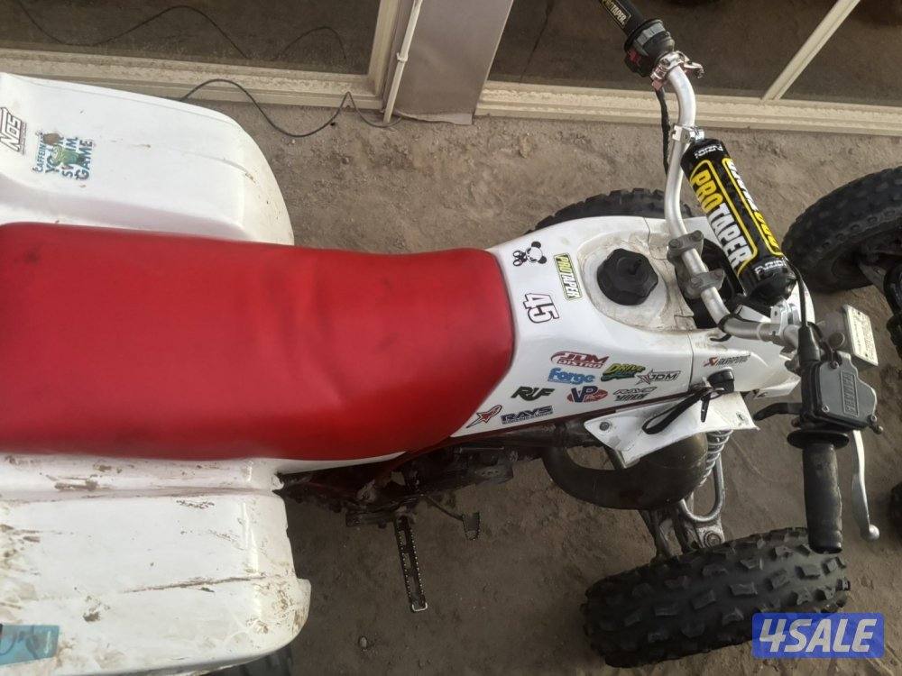 بلاستر 250—20053