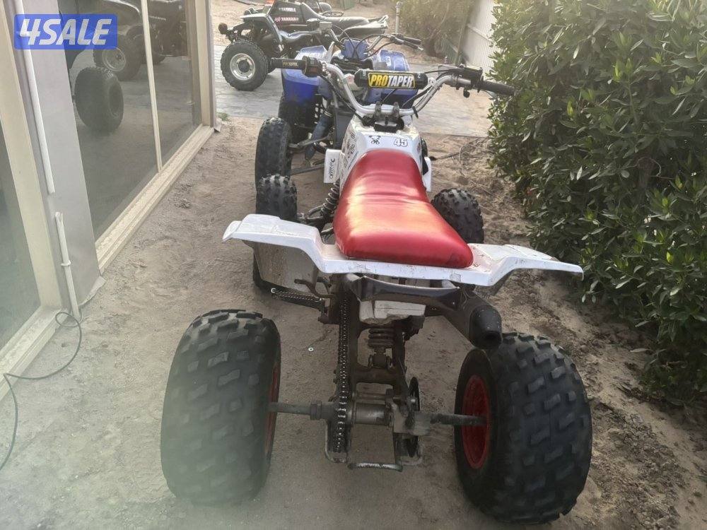 بلاستر 250—20055