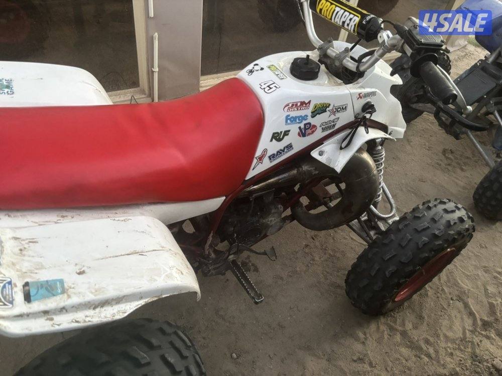 بلاستر 250—20056