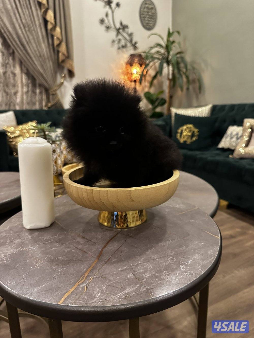 منطقه سلوي2