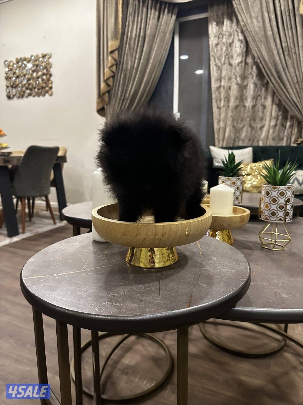 منطقه سلوي4