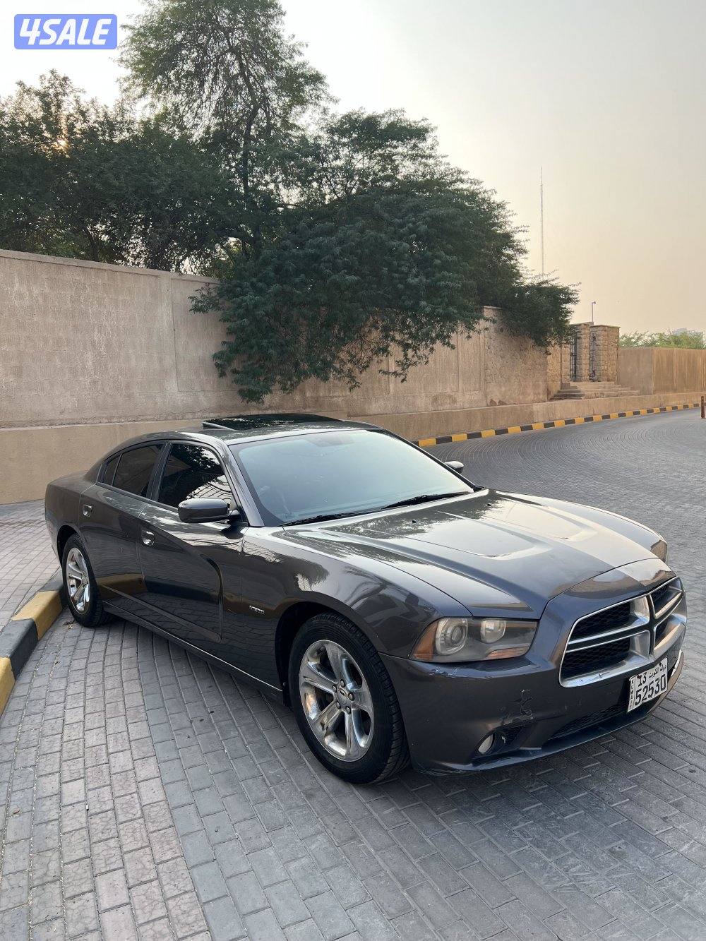 تشارجر RT بلس شرط الفحص صبغ وكاله1