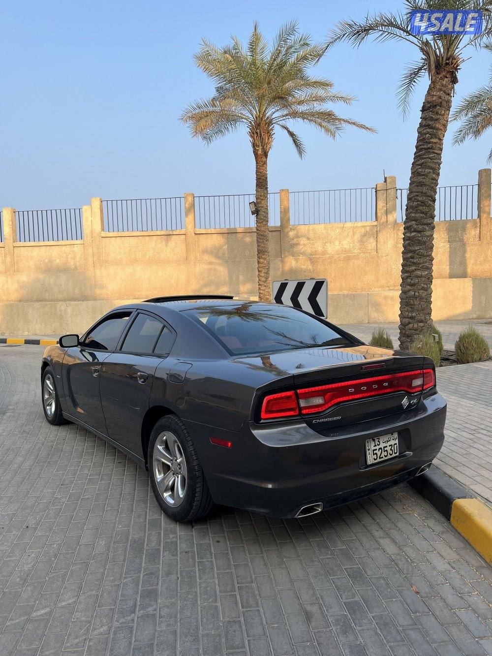 تشارجر RT بلس شرط الفحص صبغ وكاله3