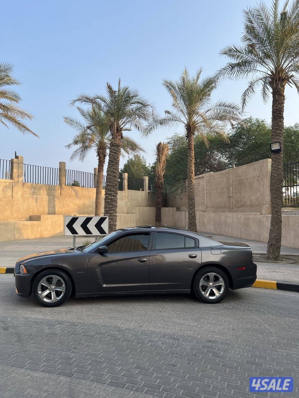 تشارجر RT بلس شرط الفحص صبغ وكاله4