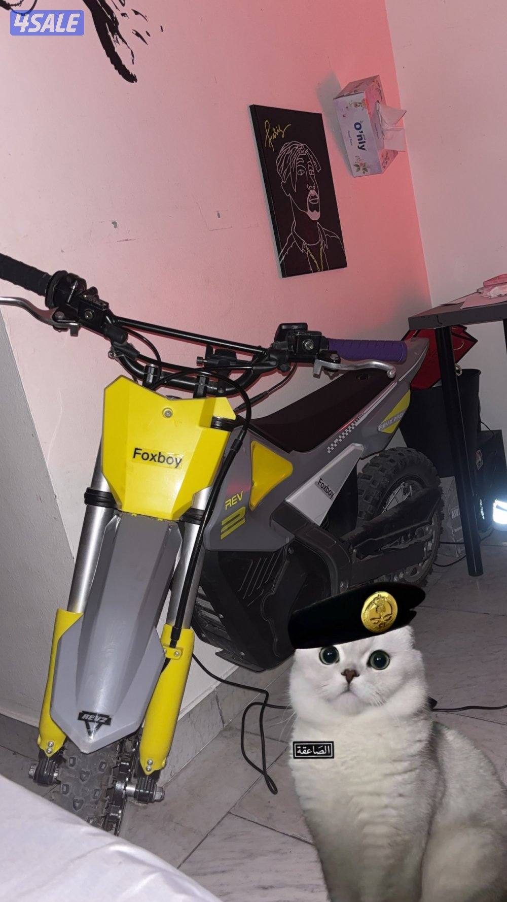 للبيع سيكل كهربائي fox boy bike1