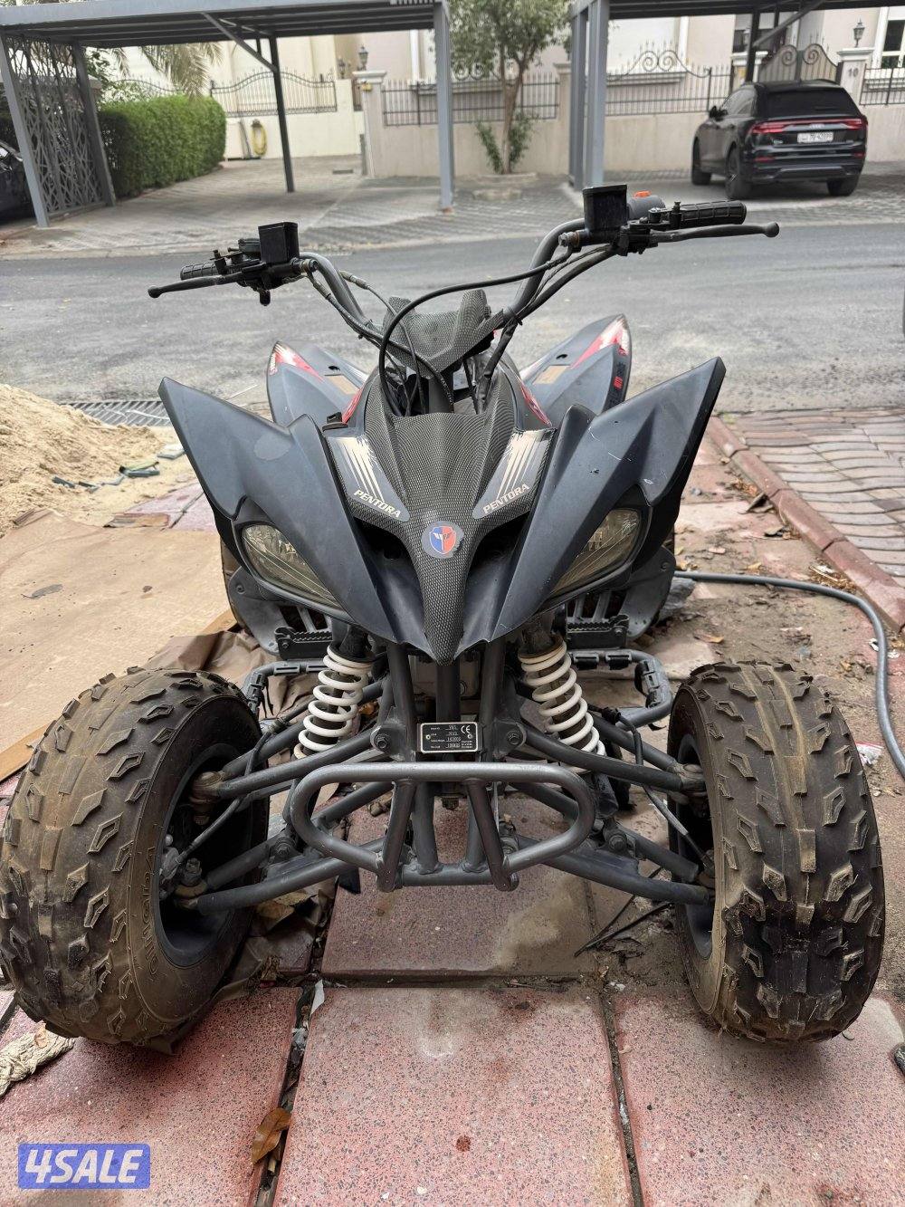 للبيع بقي صنع صيني فرخ الرابتر0