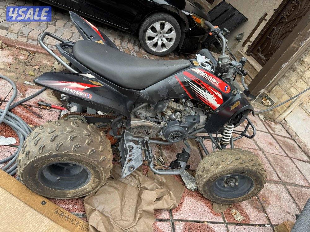 للبيع بقي صنع صيني فرخ الرابتر1