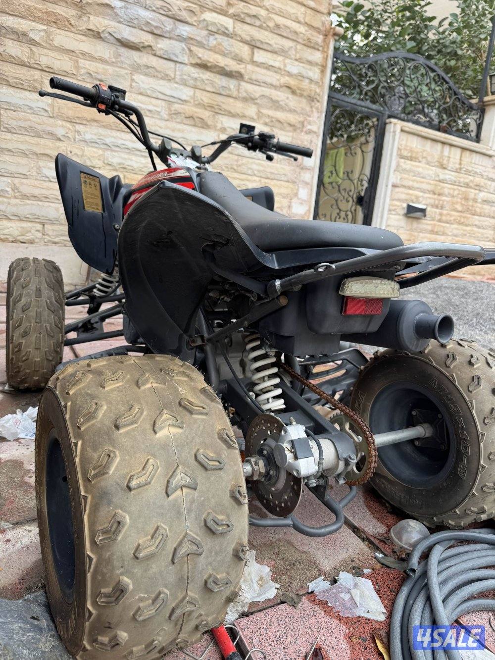 للبيع بقي صنع صيني فرخ الرابتر2