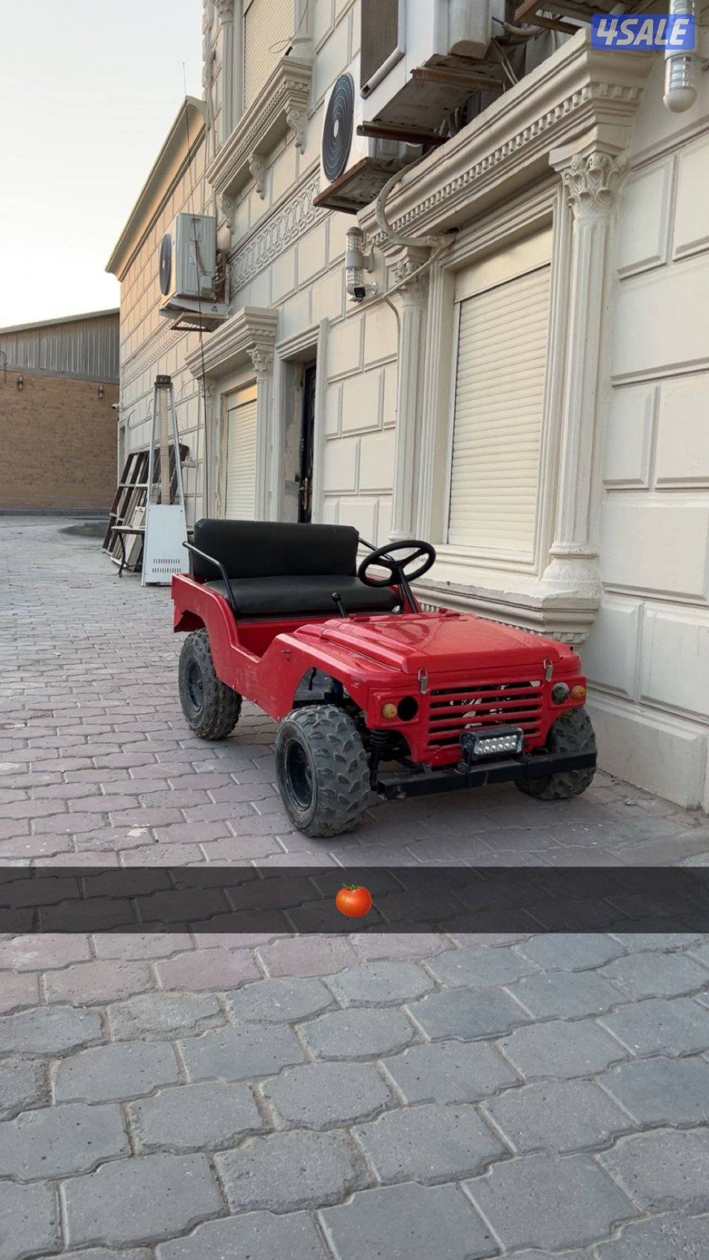 للبيع ميني جيب0