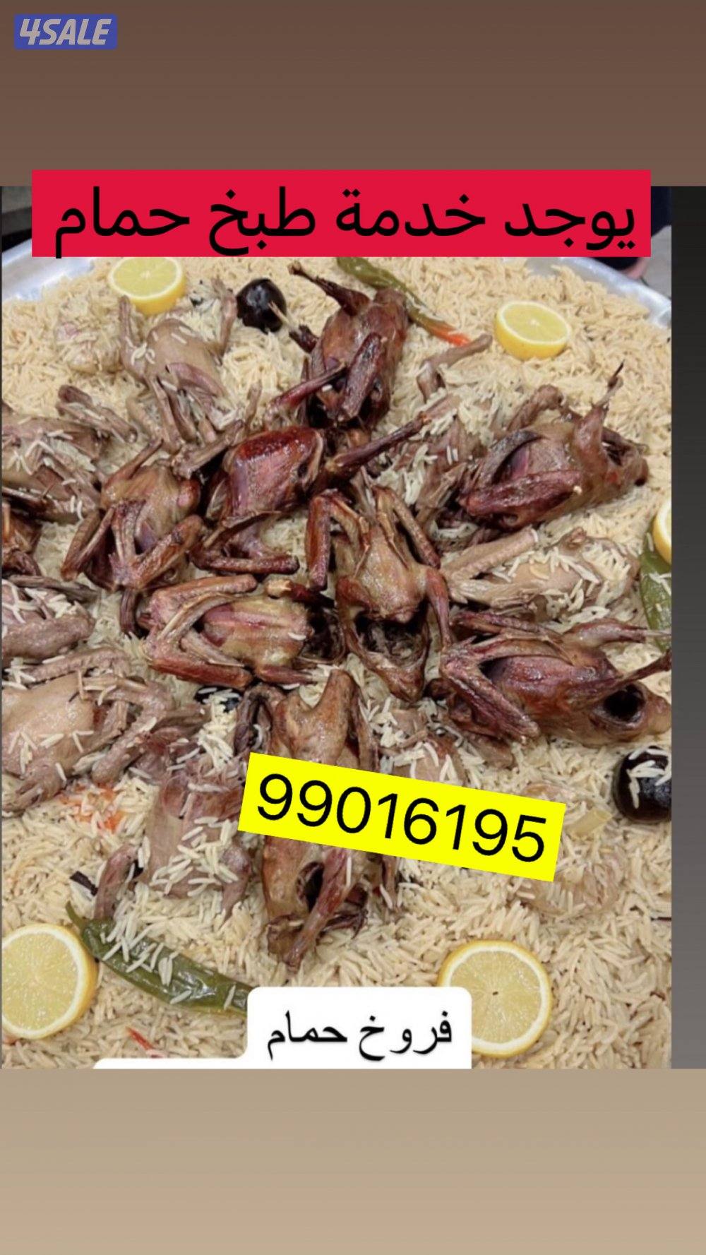 فروخ زاجل وفروخ لاحم فرنسي يوجد خدمة توصيل ويوجد طبخ2