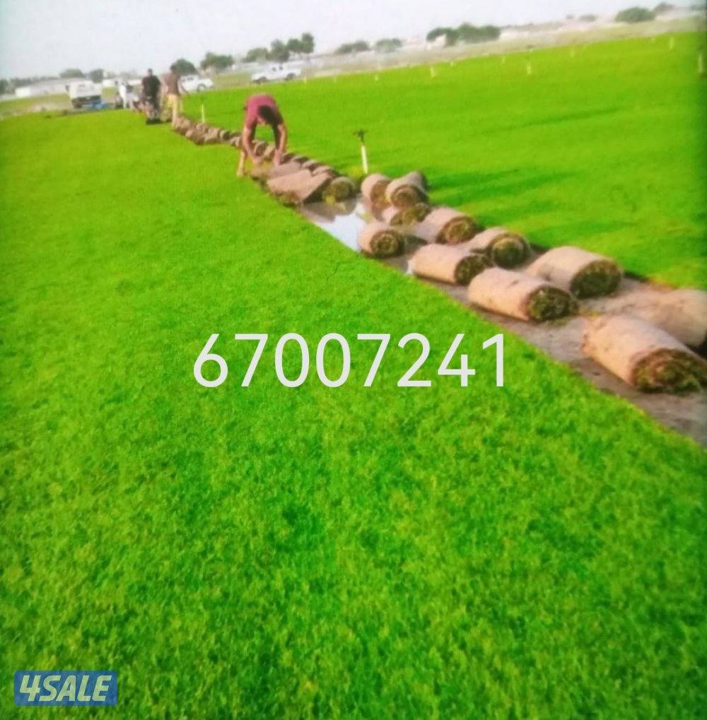 تيل طبيعي تيل صناعي ثري دي اسوار تركي دزينات قص وشلع الاشجار12