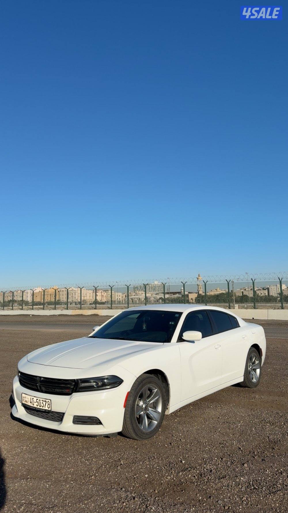 للبيع دوج شرط الفحص0