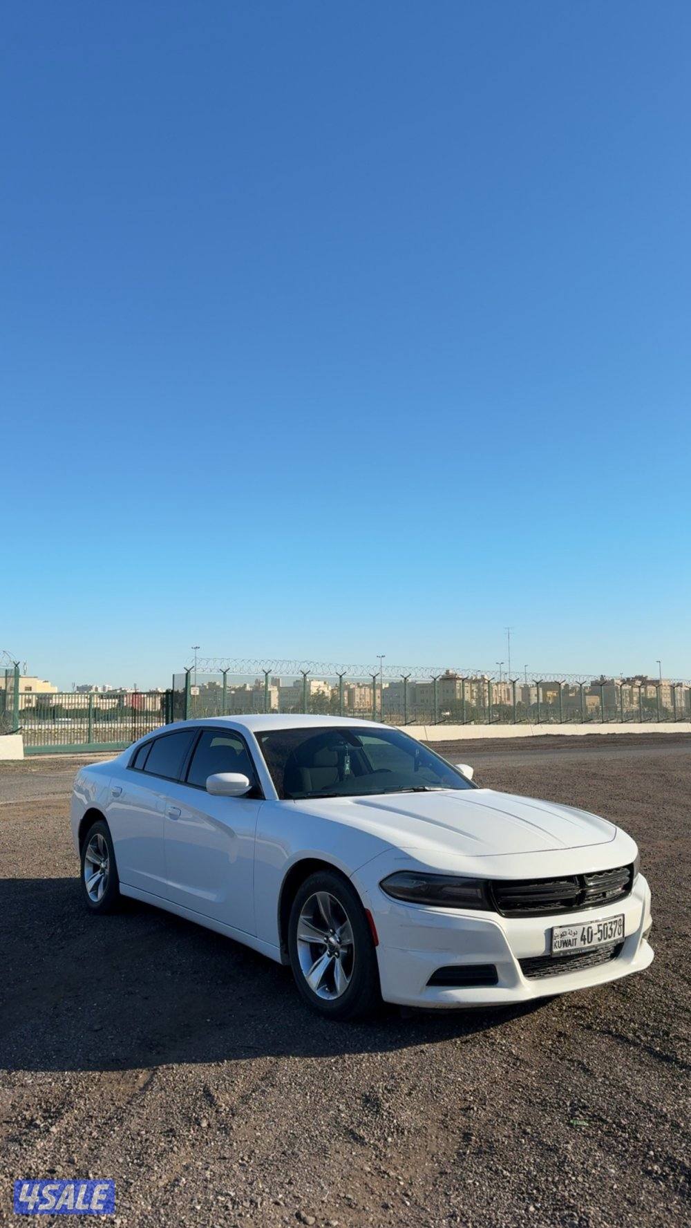 للبيع دوج شرط الفحص1