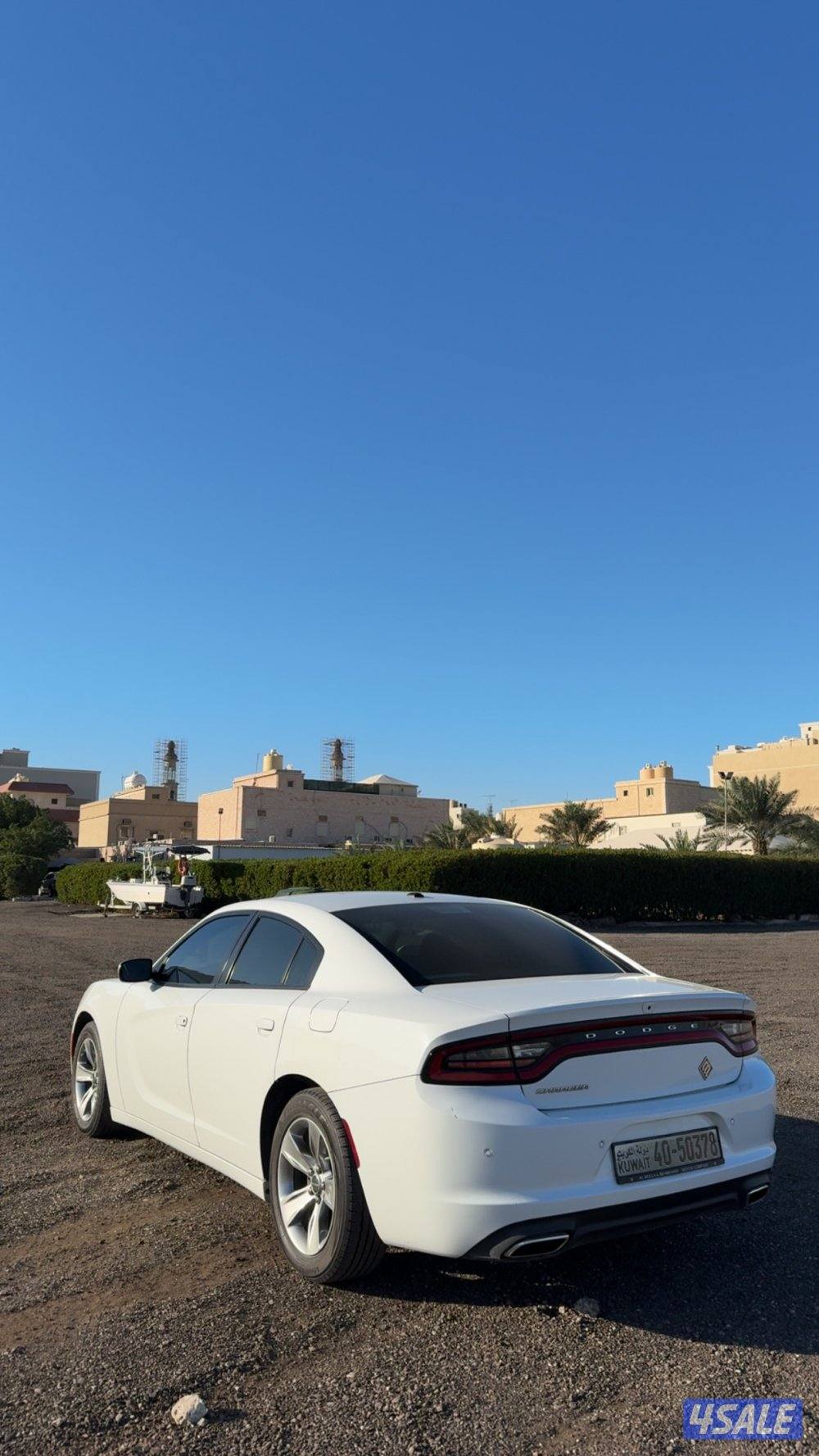 للبيع دوج شرط الفحص3