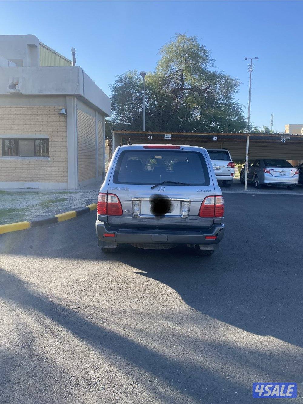 مبارك الكبير6