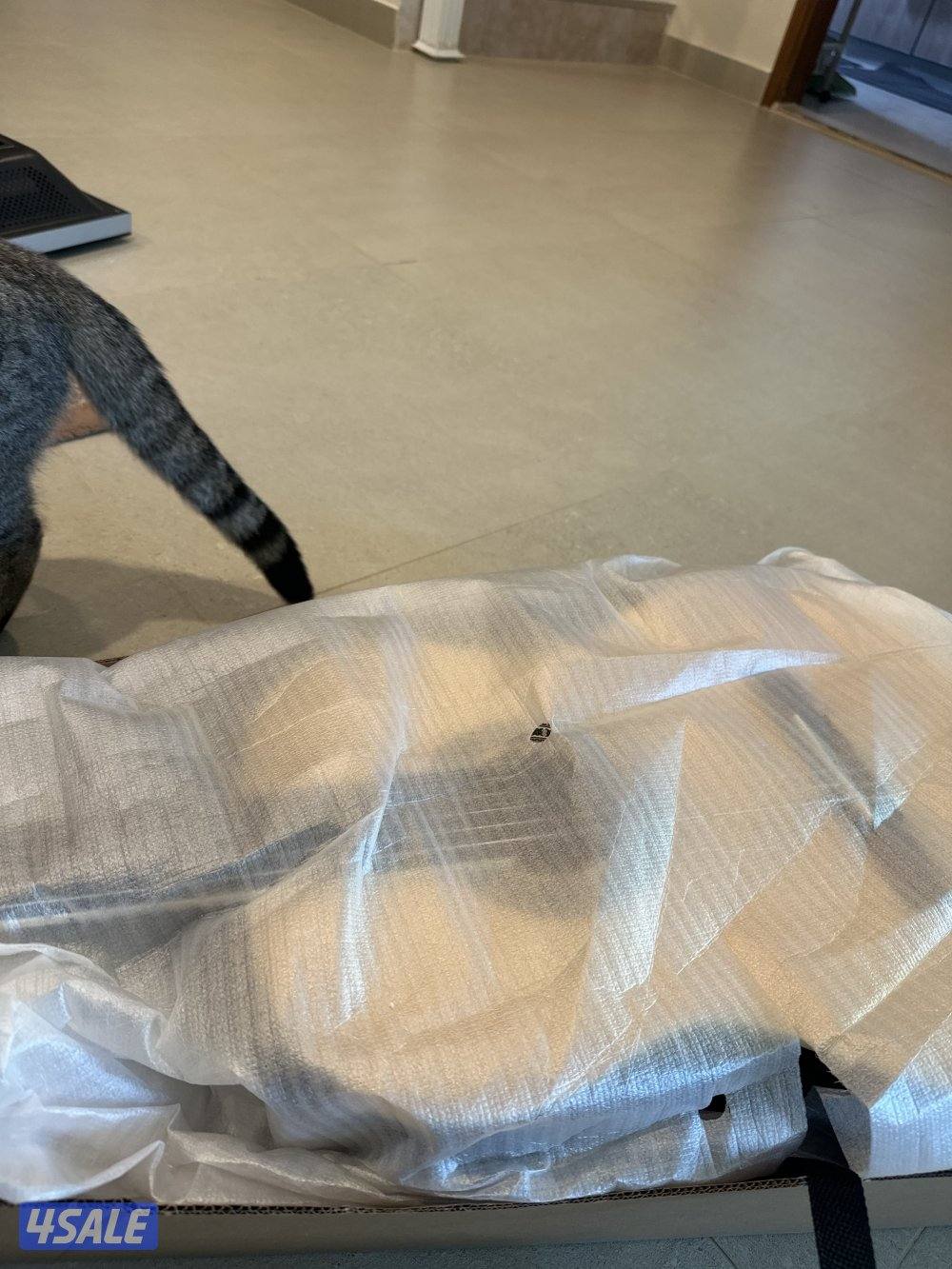 جيتار ونسا  مع اغراض والكرتون جديد رقم التواصل1