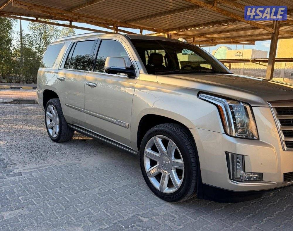 للبيع اسكاليد 20162