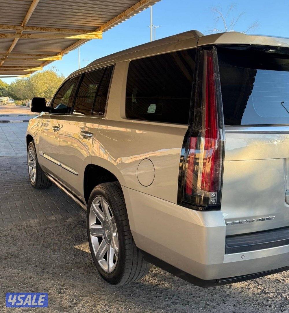 للبيع اسكاليد 20164