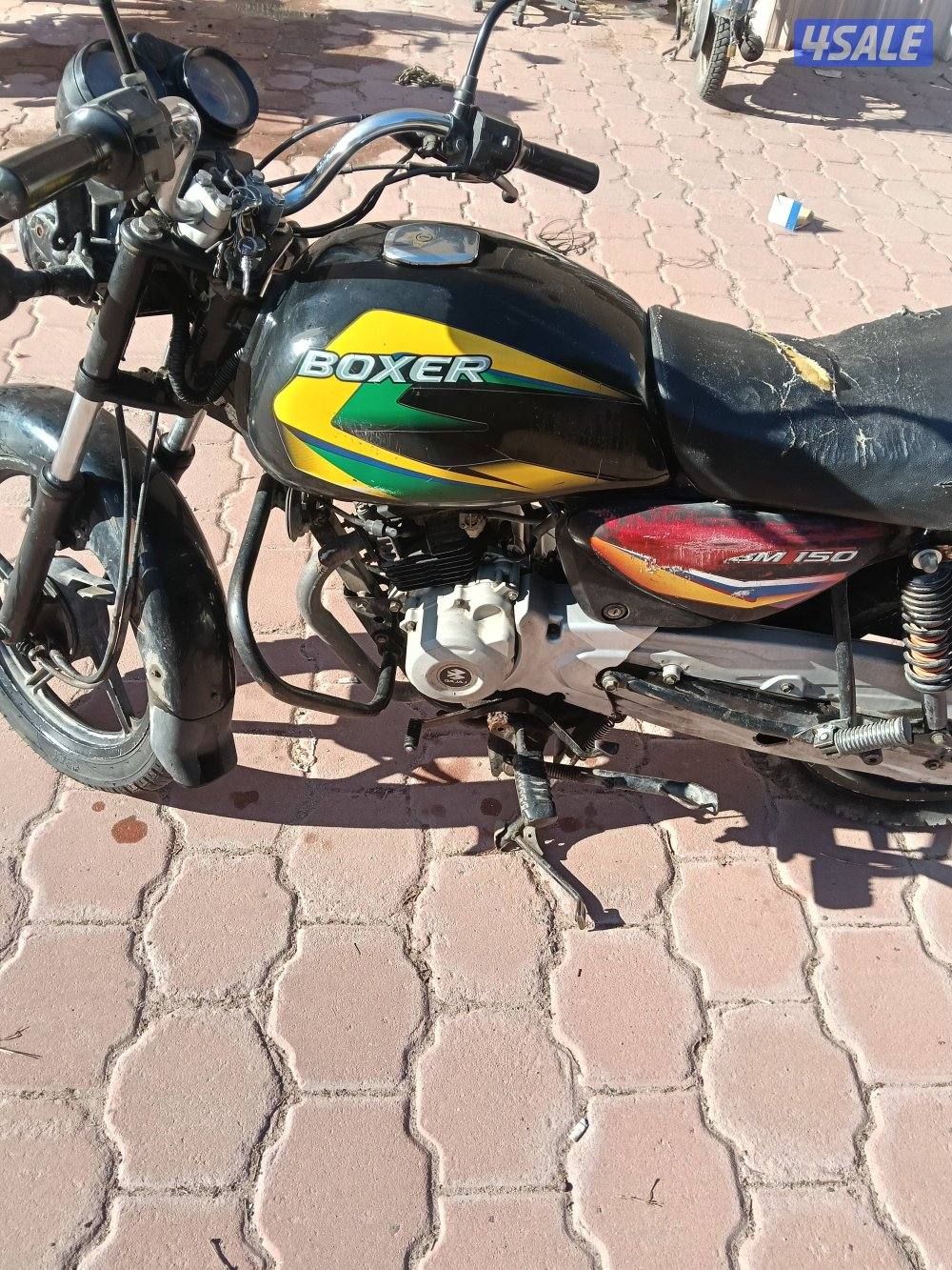 سيكل بوكسر 2019 مستعمل بدون لوحه0