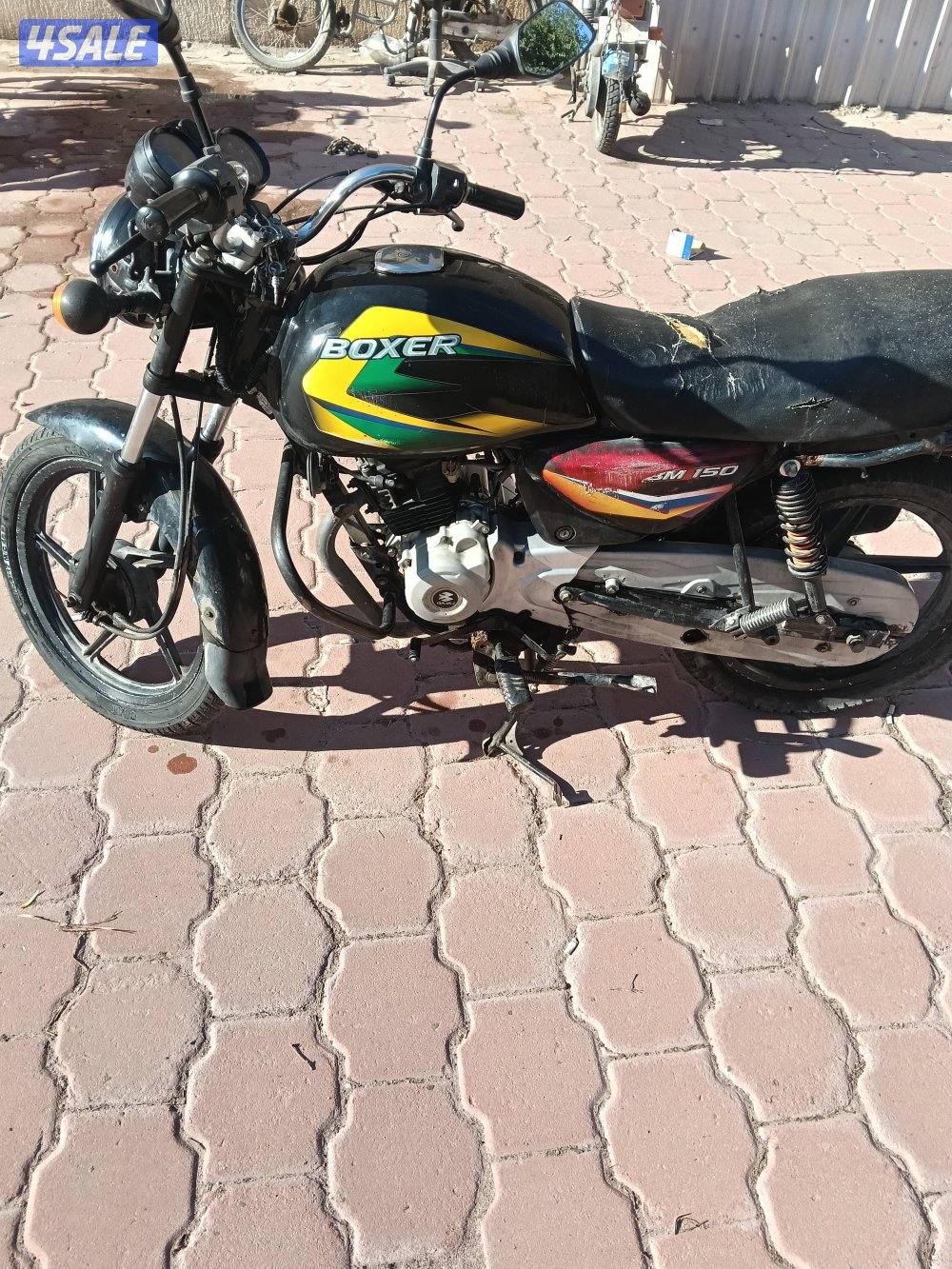 سيكل بوكسر 2019 مستعمل بدون لوحه1