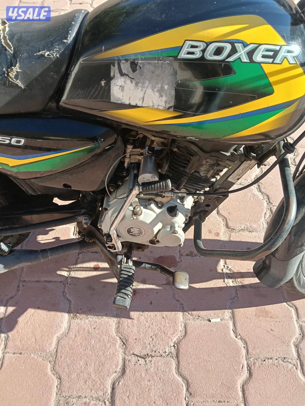 سيكل بوكسر 2019 مستعمل بدون لوحه3