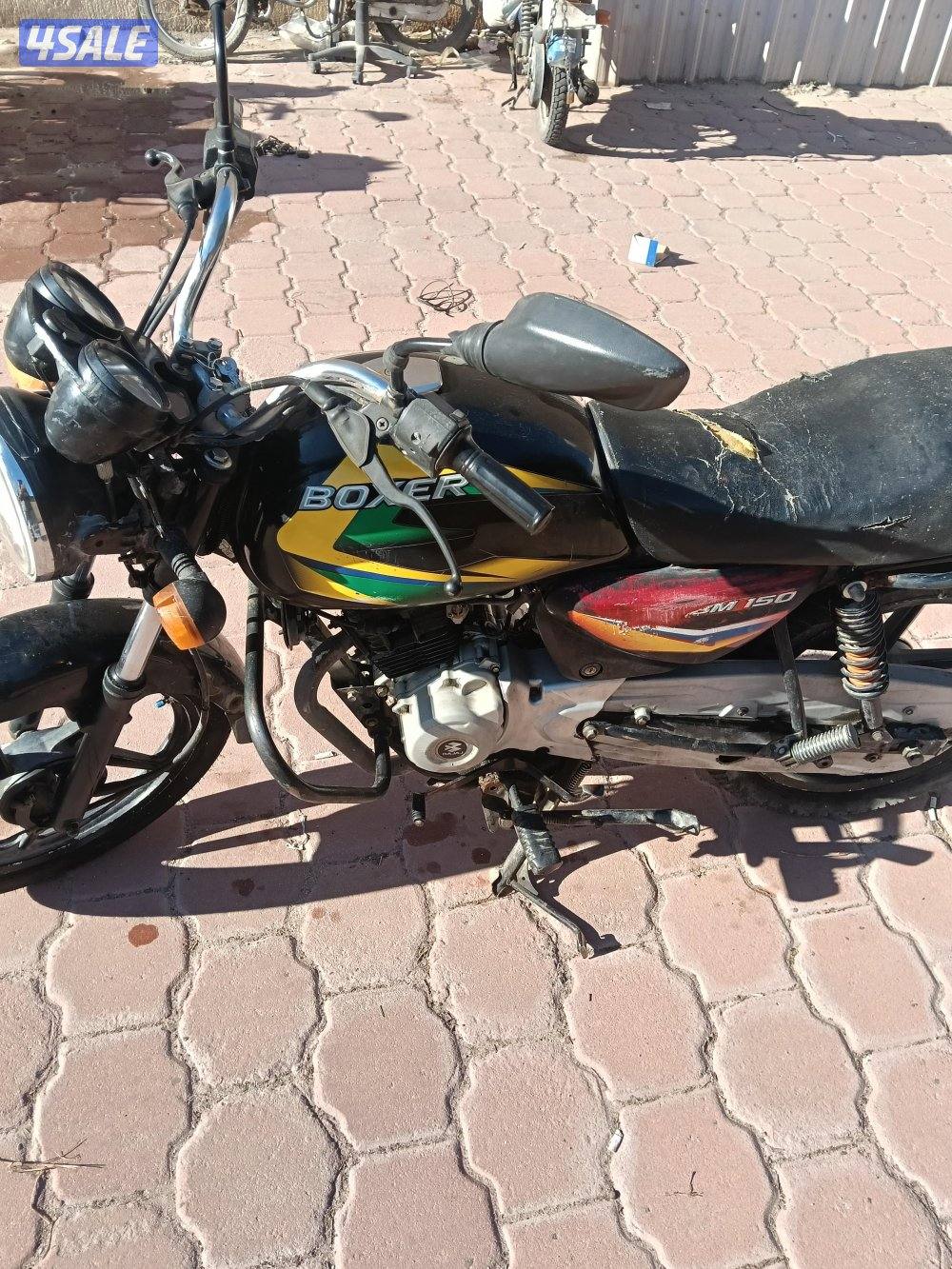 سيكل بوكسر 2019 مستعمل بدون لوحه4
