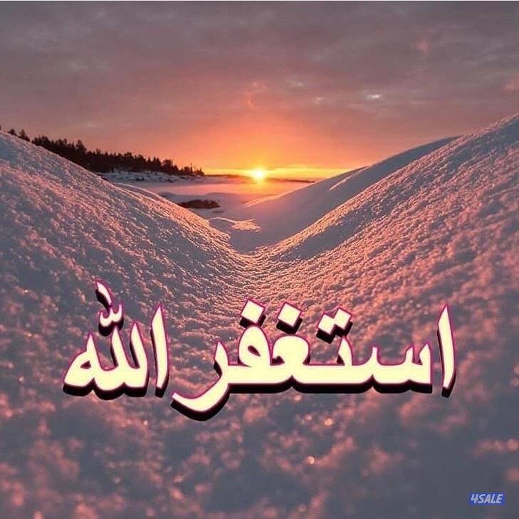 رجال بدون محتاج وظيفه مندوب التزام0