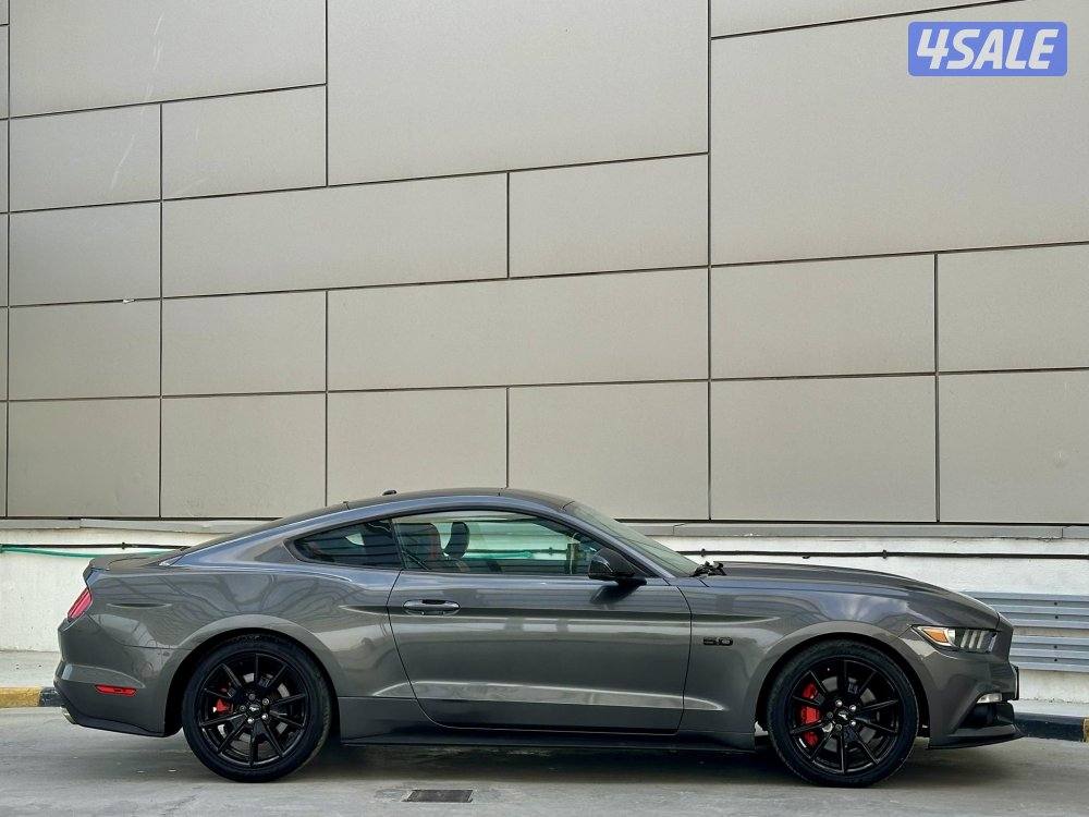 موستنق 5.0 بريميوم / ٢٠١٧6