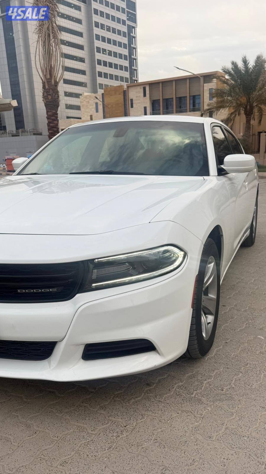 دودج تشارجر 2019 SXt7