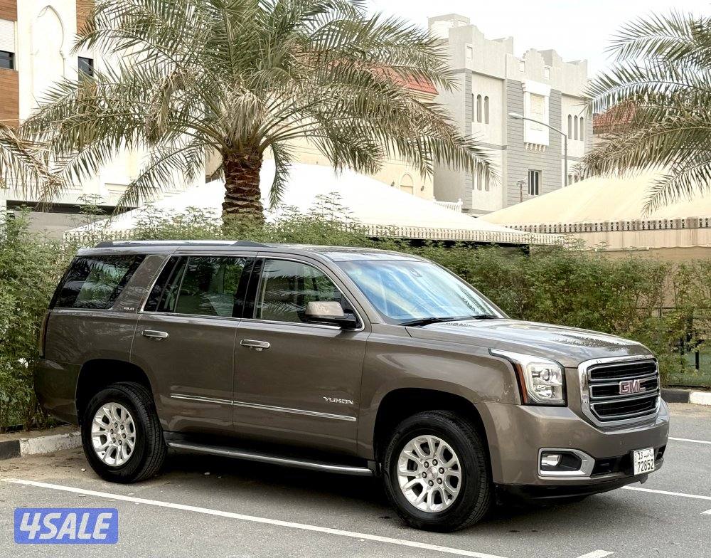 يوكن SLE صبغ الوكالة0