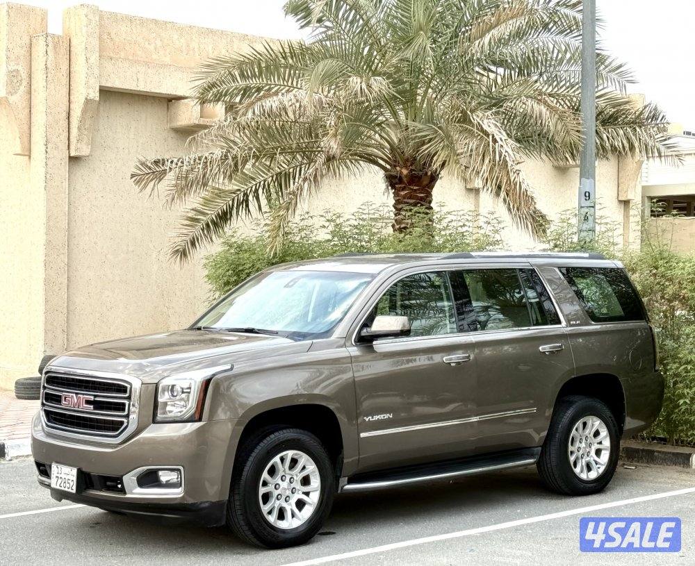 يوكن SLE صبغ الوكالة1