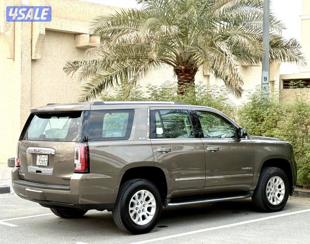 يوكن SLE صبغ الوكالة2