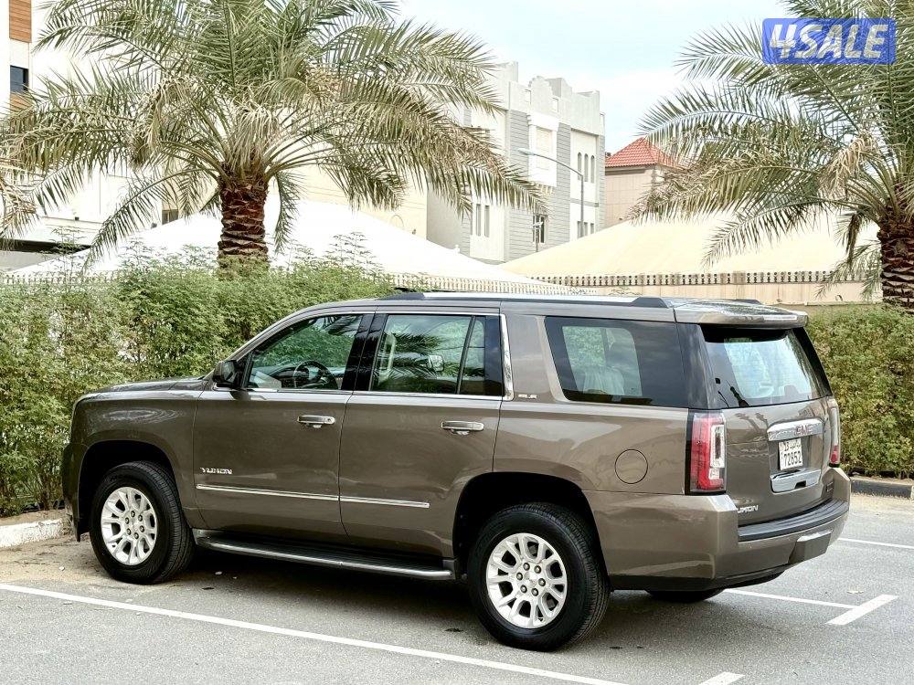 يوكن SLE صبغ الوكالة3